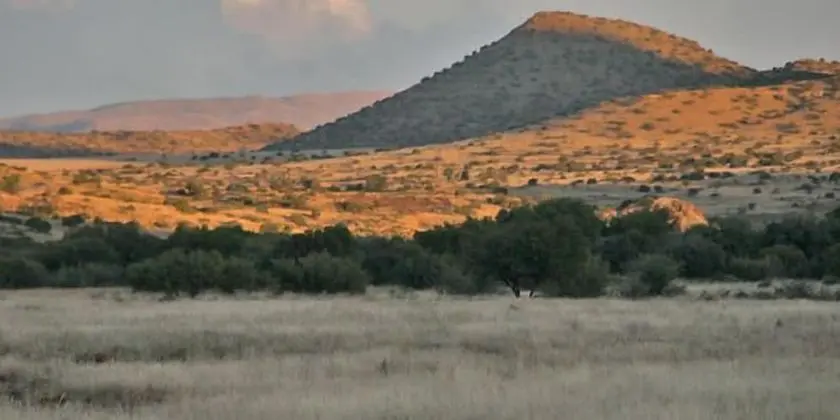 Otterskloof Private Game Reserve - Safari ve Oyun