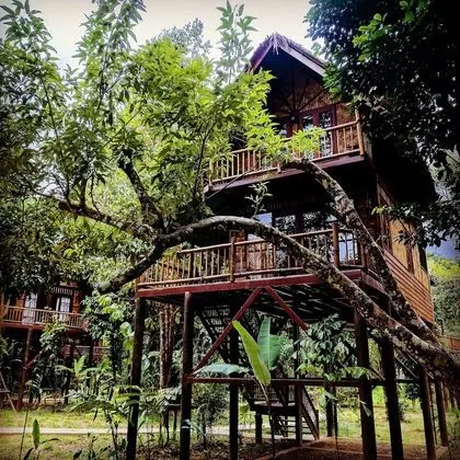 Our Jungle Camp - Eco Resort - Dış Mekan