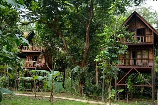Our Jungle Camp - Eco Resort - Oda
