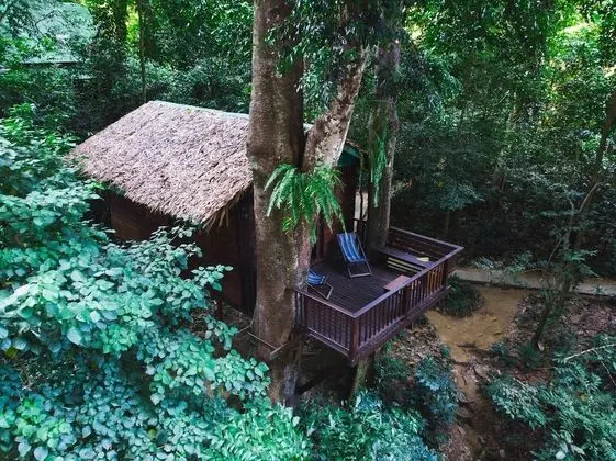 Our Jungle House