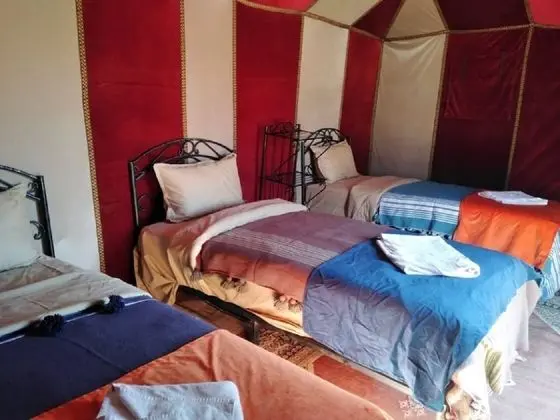Overnight Camel Trekking - Öne Çıkan Resim