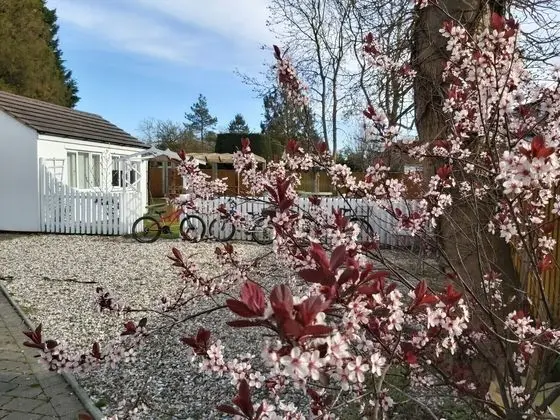 Oxford Guest House - Dış Mekan