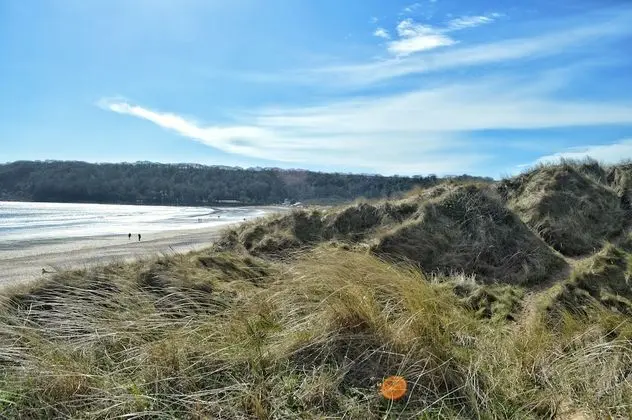 Oxwich Bay Hotel - Plaj