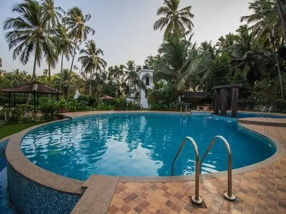 OYO 12953 Home Pool View 2BHK Arpora - Havuz