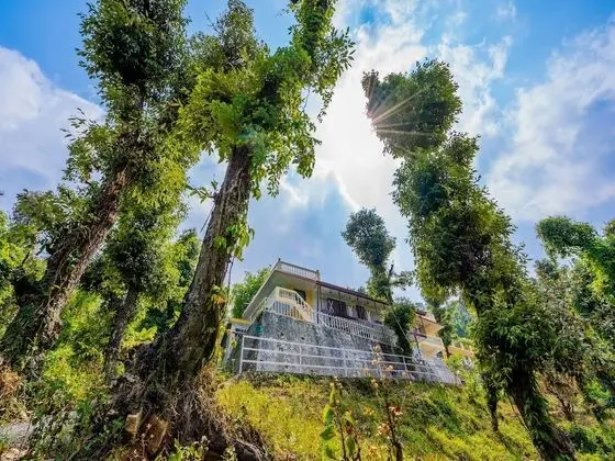 OYO 14134 Home Devdar Cottage Kempty Road