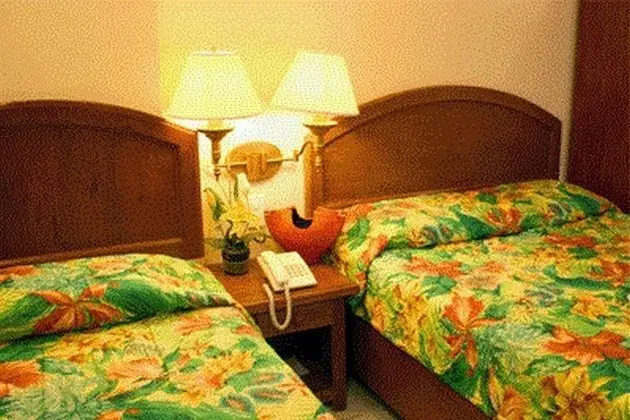 OYO 210 Apple Tree Suites - Oda