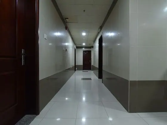 OYO 247 Host Palace hotel apartment - Lobi