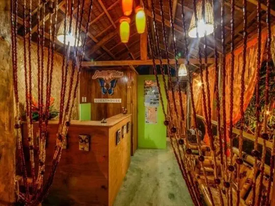 OYO 622 Butterfly Totem Guesthouse - İç Mekan
