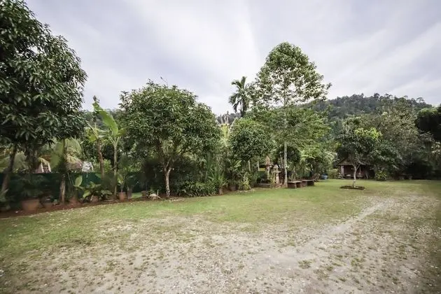OYO 75312 Banana Lodge - Dış Mekanlar