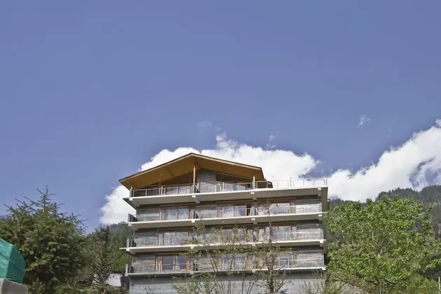 OYO 8724 Vashisht