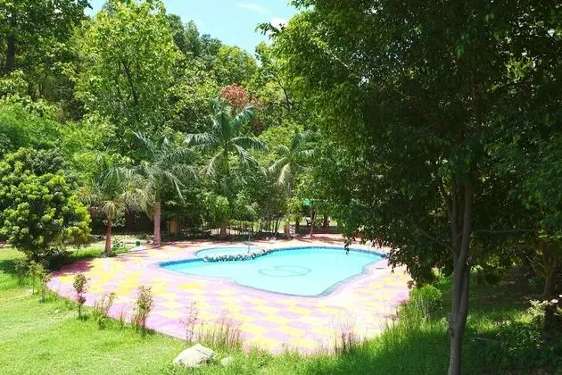 OYO 9445 Bagheera Jungle Retreat - Havuz