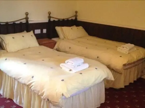 OYO The Bug & Spider