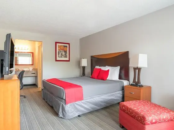 OYO Hotel Pinellas Park - St. Petersburg North US- - Oda