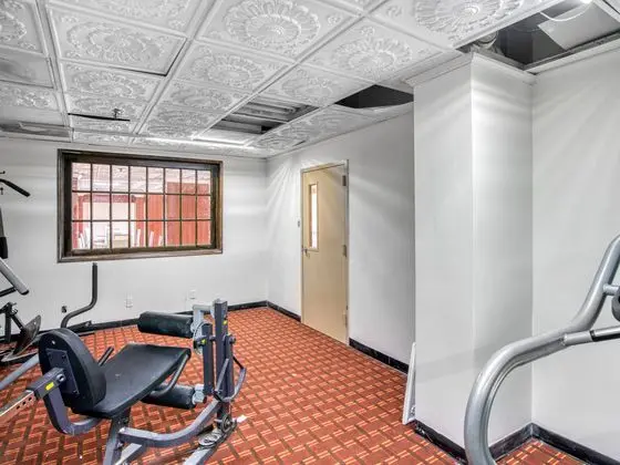 OYO Townhouse Houston George Bush Intercontinental - Aktiviteler