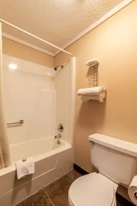 OYO Hotel Wadsworth OH I-76 - Banyo Tipleri