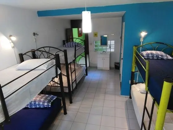Oyster Hostel - Oda