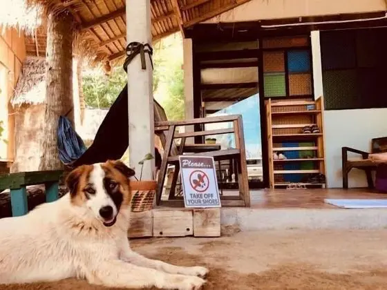 Ozone Hostel
