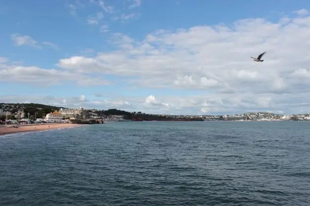 The P&M Paignton RESIDENCE - Plaj