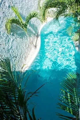 Pacha Tulum Boutique Hotel - Havuz