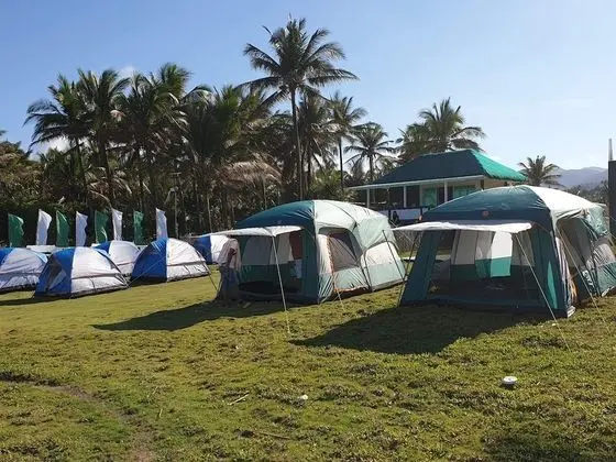 Pacific Buddies - Campsite