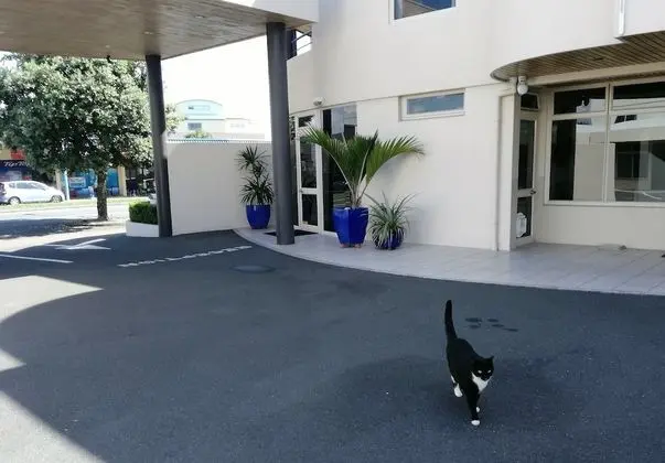 Pacific Motor Inn - Dış Mekan