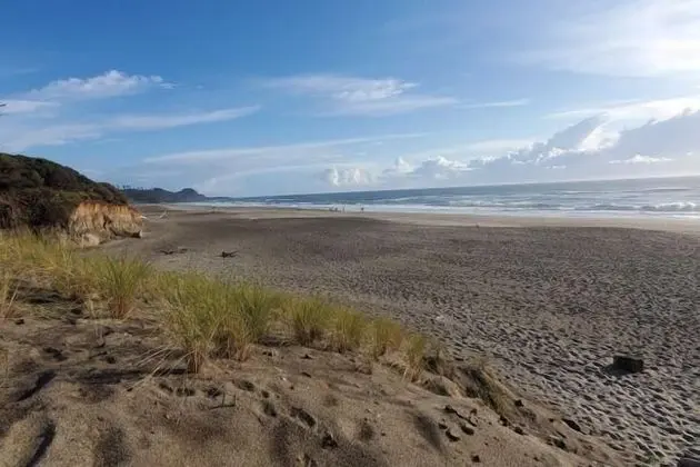 Pacific Pines - Plaj