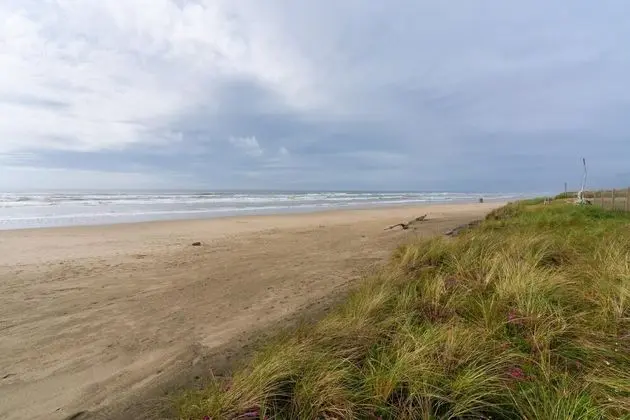 Pacific Sands - Plaj