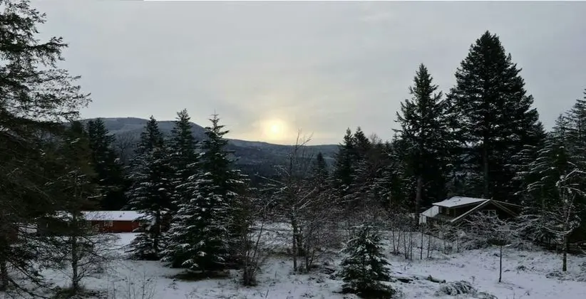 Packwood Ski & Vacation Getaway