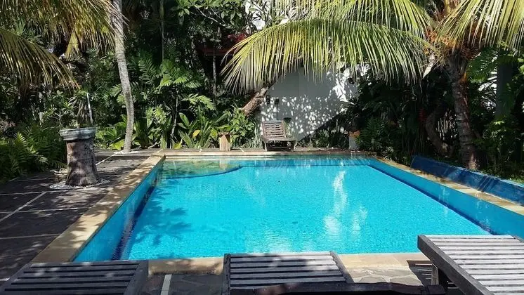 Padang Lovina Sea Side Cottage - Havuz