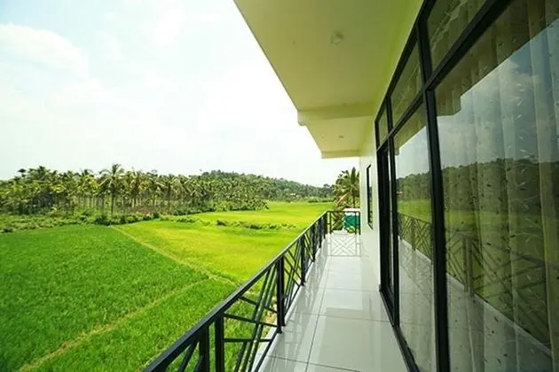 The Paddy Field Inn