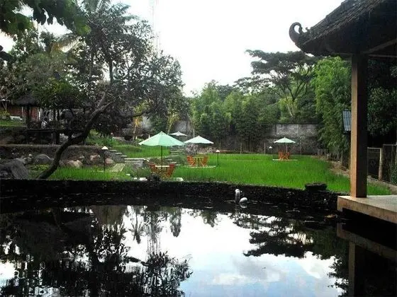 Padi City Resort