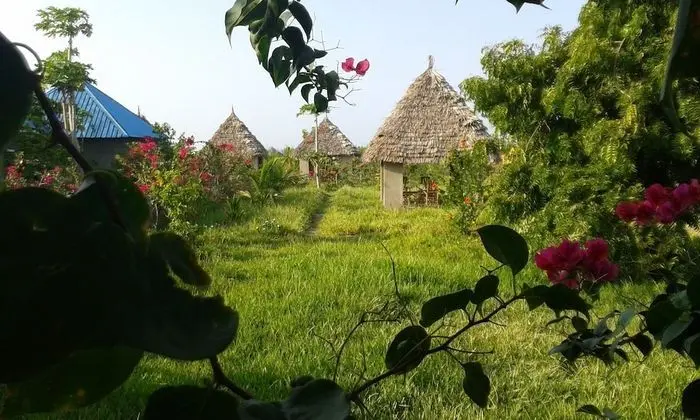 Paipai zanzibar - Dış Mekan