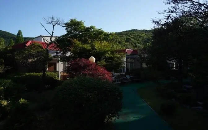 Paju Welcome Felix Pension