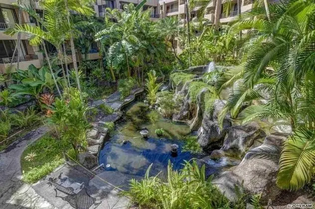 Paki Maui BeachFront Lahaina Condos - Dış Mekan