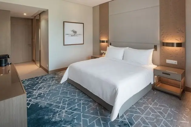 Palace Beach Resort Fujairah - Oda
