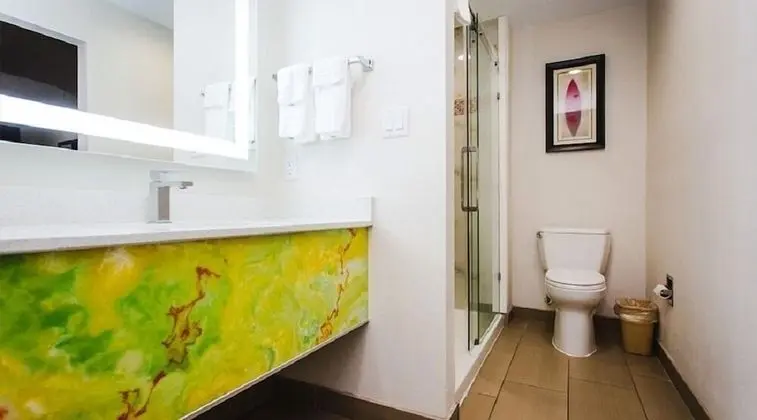 Palace Inn Beltway 8 & Veterans Memorial - Banyo Tipleri