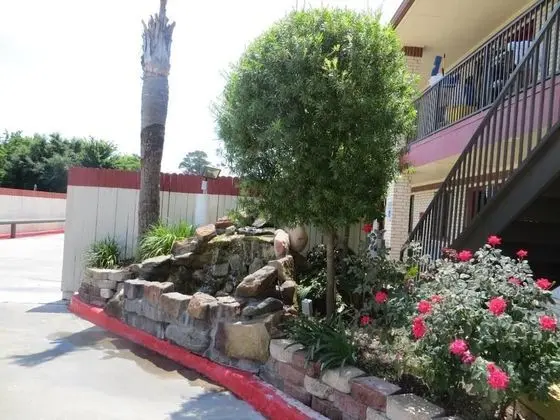 Palace Inn Wayside - Dış Mekan