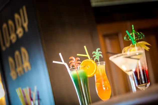 Hotel Palace Marina Dinevi - Bar