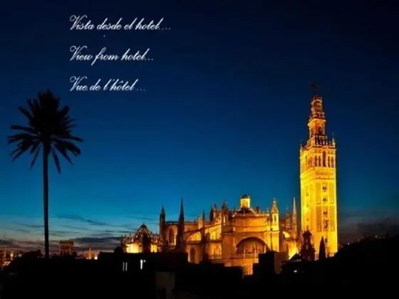 Hotel Palacio Alcazar