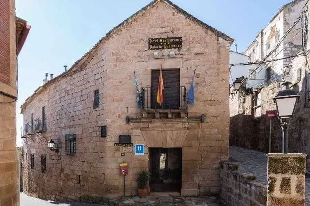 Palacio Guzmanes - 1