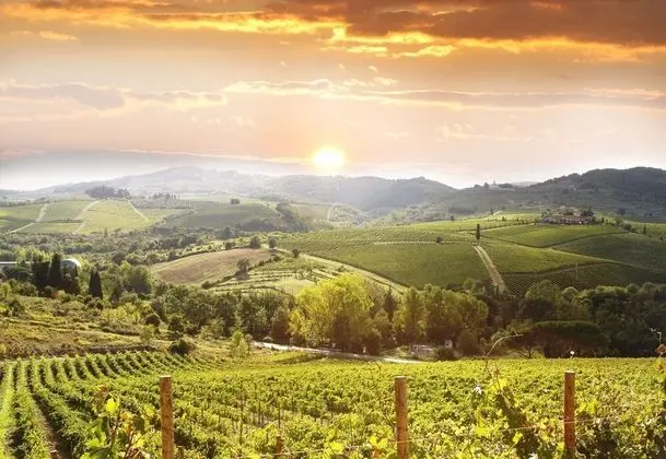 Palagio 3 in Chianti With Shared Pool - Dış Mekan