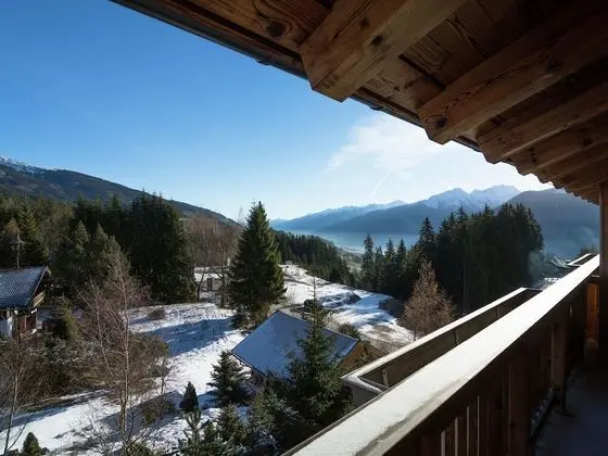 Palatial Apartment With Panoramic Views & Sauna in Mittersill