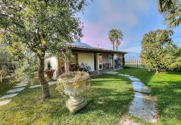 Palazzo dei Ulivi - Ulivo