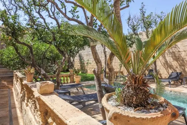 Palazzo Pisani Malta - Havuz