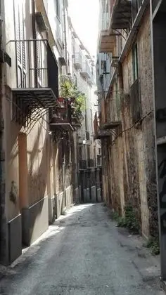 Palazzo Vatticani - Dış Mekan