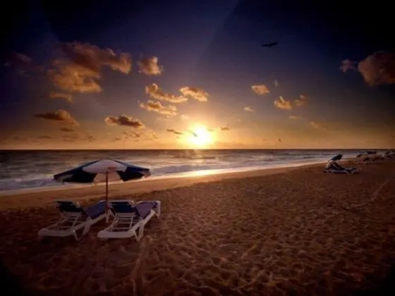 Palm Beach Shores Resort and Vacation Villas - Plaj