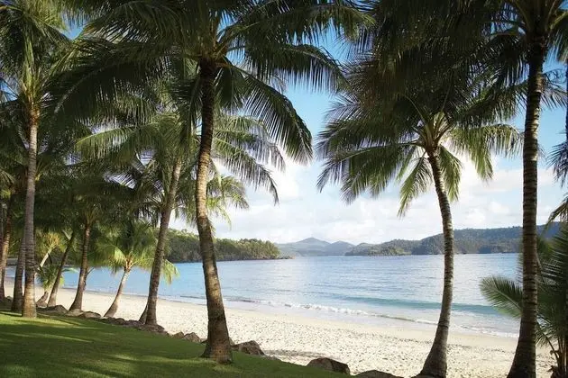 Palm Bungalows - Plaj