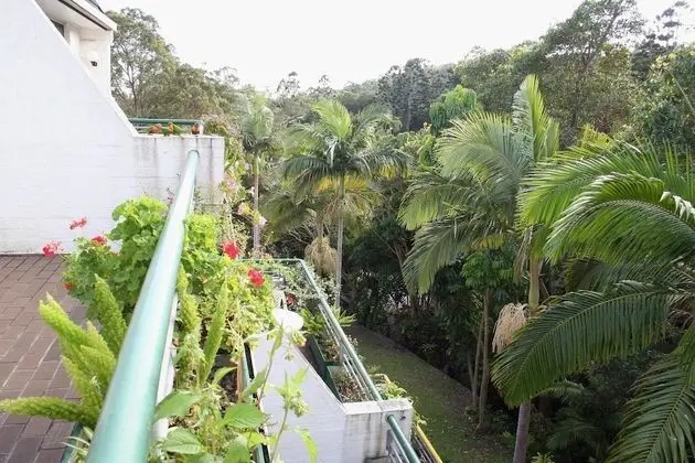 Palm Court Noosa - Oda