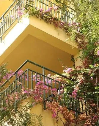 Palm Court Suites