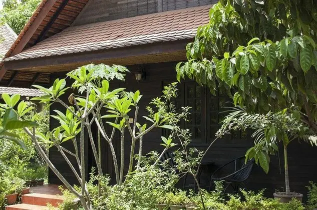 Palm Village Resort & Spa - Genel